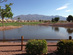 Lake at Silverstone Golf Club
